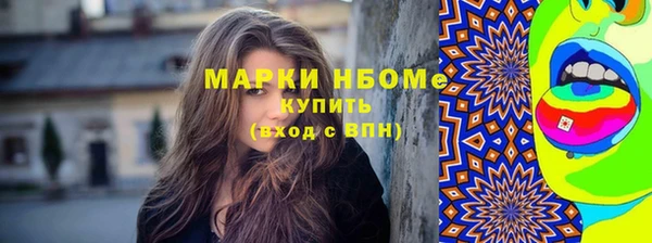 шишки Белокуриха