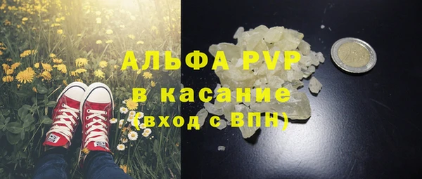 прущий лед Бородино